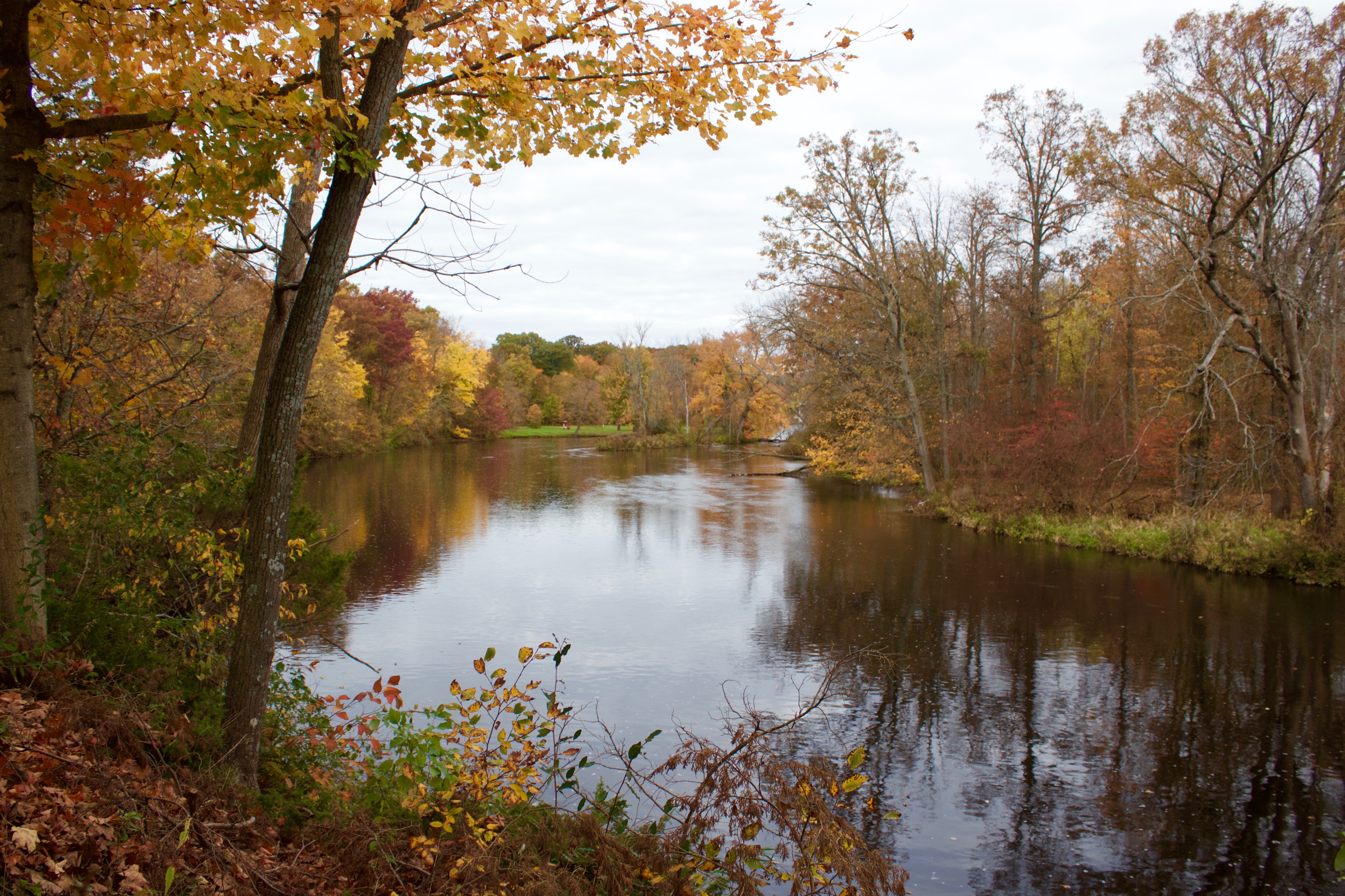 Lake trail in Michigan